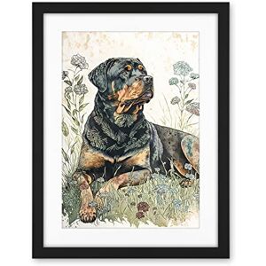 Artery8 Rottweiler Dog Lying in Wildflowers Bright Watercolour Illustration Artwork Framed Wall Art Print 18X24 Inch Artery8 Rottweiler Dog Lying in Wildflowers Bright Watercolour Illustration Artwork Framed Wall Art Print 18X24 Inch