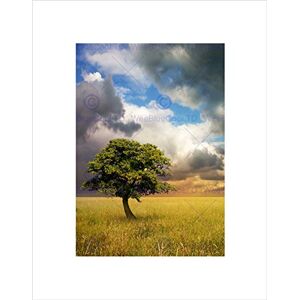Wee Blue Coo Lone Tree Field Clouds Spring Country Grass Green Wall Art Print Wee Blue Coo Lone Tree Field Clouds Spring Country Grass Green Wall Art Print