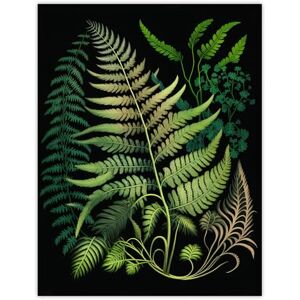 Wee Blue Coo Elegant Fern Fronds Botanical Nature Foliage Artwork Green on Black Extra Large XL Wall Art Poster Print Wee Blue Coo Elegant Fern Fronds Botanical Nature Foliage Artwork Green on Black Extra Large XL Wall Art Poster Print
