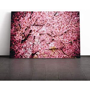 Big Box Art Canvas Print Wall Art Pink Cherry Blossom Tree Flowers (3) Mounted & Stretched Box Frame Picture Home Decor for Kitchen, Living Room, Bedroom, Hallway, Multi-Colour, 20x14 Inch Big Box Art Canvas Print Wall Art Pink Cherry Blossom Tree Flowers (3) Mounted & Stretched Box Frame Picture Home Decor for Kitchen, Living Room, Bedroom, Hallway, Multi-Colour, 20x14 Inch