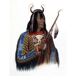 Wee Blue Coo Painting Study Native American Bodmer Assiniboin Art Print Poster Wall Decor 12X16 Inch Wee Blue Coo Painting Study Native American Bodmer Assiniboin Art Print Poster Wall Decor 12X16 Inch