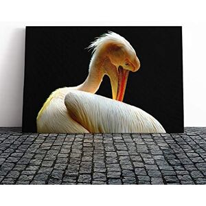 Big Box Art Pelican Bird Canvas Print Gallery Wrapped 30mm Frame Wall Art 20x14 inches Ready to Hang Modern Animals Picture Living Room Bedroom Lounge Office Big Box Art Pelican Bird Canvas Print Gallery Wrapped 30mm Frame Wall Art 20x14 inches Ready to Hang Modern Animals Picture Living Room Bedroom Lounge Office