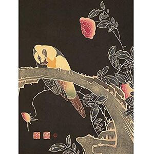 Artery8 Jakuchu Parrot Branch Flowering Rose Bush Japanese Painting Unframed Wall Art Print Poster Home Decor Premium Artery8 Jakuchu Parrot Branch Flowering Rose Bush Japanese Painting Unframed Wall Art Print Poster Home Decor Premium