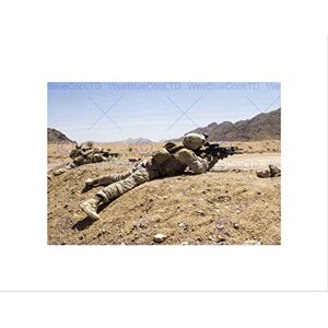 Wee Blue Coo War Military Army Soldier Gun Rifle War Marine Desert Shoot Art Wall Art Print Wee Blue Coo War Military Army Soldier Gun Rifle War Marine Desert Shoot Art Wall Art Print