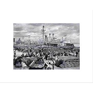 Wee Blue Coo Levee At Canal Street New Orleans 1900 Old BW Wall Art Print Wee Blue Coo Levee At Canal Street New Orleans 1900 Old BW Wall Art Print