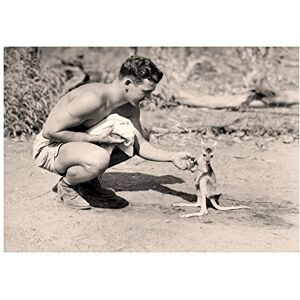Wee Blue Coo Vintage Photo American Soldier Kangaroo Joey Wall Art Print Wee Blue Coo Vintage Photo American Soldier Kangaroo Joey Wall Art Print