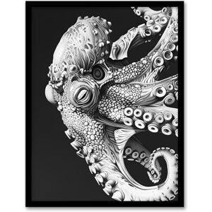 Artery8 Octopus Black White Drawing Ernst Haeckel Style Living Room Artwork Framed Wall Art Print A4 Artery8 Octopus Black White Drawing Ernst Haeckel Style Living Room Artwork Framed Wall Art Print A4