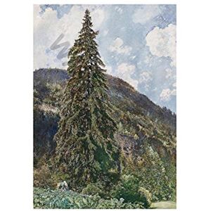 Wee Blue Coo Painting Von Alt Old Spruce In Bad Gastein Wall Art Print Wee Blue Coo Painting Von Alt Old Spruce In Bad Gastein Wall Art Print