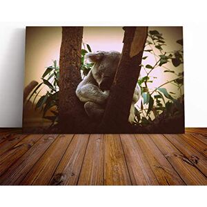 Big Box Art Koala Bear (4) Canvas Print Gallery Wrapped 30mm Frame Wall Art 24x16 inches Ready to Hang Modern Animals Picture Living Room Bedroom Lounge Office Big Box Art Koala Bear (4) Canvas Print Gallery Wrapped 30mm Frame Wall Art 24x16 inches Ready to Hang Modern Animals Picture Living Room Bedroom Lounge Office