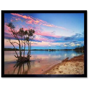 Wee Blue Coo Sunset Mangrove Tree Yamba Lake Pink Blue Beach Art Print Framed Poster Wall Decor 12X16 Inch Wee Blue Coo Sunset Mangrove Tree Yamba Lake Pink Blue Beach Art Print Framed Poster Wall Decor 12X16 Inch