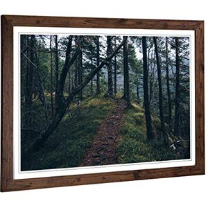 Big Box Art Framed Print of Landscape Forest Nature Design Wall Art Picture Home Decor for Kitchen, Living, Dining Room, Bedroom, Hallway, Office, Walnut, A2 / 24.5x18 Inch / 62x45cm Big Box Art Framed Print of Landscape Forest Nature Design Wall Art Picture Home Decor for Kitchen, Living, Dining Room, Bedroom, Hallway, Office, Walnut, A2 / 24.5x18 Inch / 62x45cm