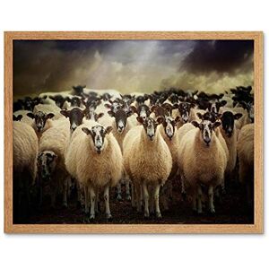 Wee Blue Coo Sheep Flock Farm Animal Art Print Framed Poster Wall Decor 12X16 Inch Wee Blue Coo Sheep Flock Farm Animal Art Print Framed Poster Wall Decor 12X16 Inch