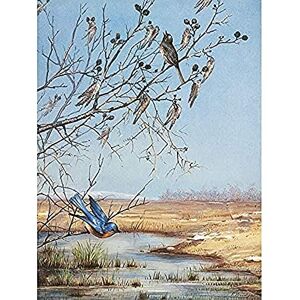 Fine Art Prints Wandbild, Motiv: Brücken, März, Vögel, Landschaftsgemälde, ungerahmt Fine Art Prints Wandbild, Motiv: Brücken, März, Vögel, Landschaftsgemälde, ungerahmt