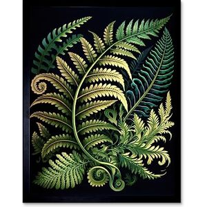 Artery8 Ernst Haeckel Style Fern Fronds Leaf Illustration Art Print Framed Poster Wall Decor 12x16 inch Artery8 Ernst Haeckel Style Fern Fronds Leaf Illustration Art Print Framed Poster Wall Decor 12x16 inch