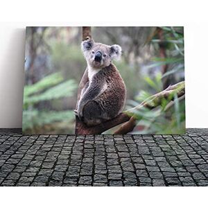 Big Box Art Koala Bear (5) Canvas Print Gallery Wrapped 30mm Frame Wall Art 30x20 inches Ready to Hang Modern Animals Picture Living Room Bedroom Lounge Office Big Box Art Koala Bear (5) Canvas Print Gallery Wrapped 30mm Frame Wall Art 30x20 inches Ready to Hang Modern Animals Picture Living Room Bedroom Lounge Office