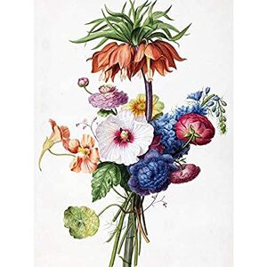 Artery8 Henriette Geertruida Bouquet Drawing Unframed Wall Art Print Poster Home Decor Premium Artery8 Henriette Geertruida Bouquet Drawing Unframed Wall Art Print Poster Home Decor Premium