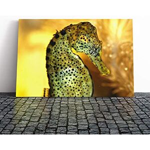 Big Box Art Seahorse Canvas Print Gallery Wrapped 30mm Frame Wall Art 24x16 inches Ready to Hang Modern Animals Picture Living Room Bedroom Lounge Office Big Box Art Seahorse Canvas Print Gallery Wrapped 30mm Frame Wall Art 24x16 inches Ready to Hang Modern Animals Picture Living Room Bedroom Lounge Office