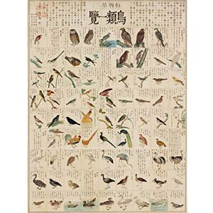 Artery8 Kato Chikusai Species of Birds Japanese Premium Wall Art Canvas Print 18X24 Inch Artery8 Kato Chikusai Species of Birds Japanese Premium Wall Art Canvas Print 18X24 Inch