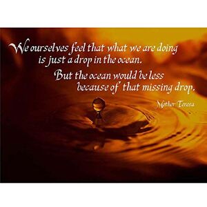 Wee Blue Coo Mother Teresa Drop The Ocean Quote Art Print Poster Wall Decor 12X16 Inch Wee Blue Coo Mother Teresa Drop The Ocean Quote Art Print Poster Wall Decor 12X16 Inch