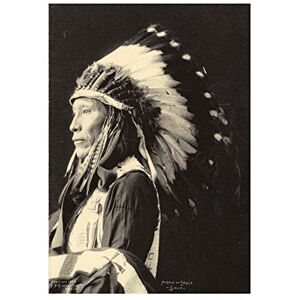 Wee Blue Coo Photo 1898 Indian Congress Afraid Of Eagle Sioux Native Wall Art Print Wee Blue Coo Photo 1898 Indian Congress Afraid Of Eagle Sioux Native Wall Art Print
