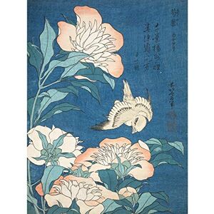 Fine Art Prints Katsushika Japan Peonies Canary Flowers Painting Large Wall Art Poster Print Thick Paper 18X24 Inch Fine Art Prints Katsushika Japan Peonies Canary Flowers Painting Large Wall Art Poster Print Thick Paper 18X24 Inch