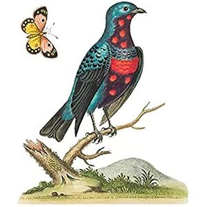 Fine Art Prints Bird Blue Spotted Unframed Art Print Poster Wall Decor 12x16 inch Fine Art Prints Bird Blue Spotted Unframed Art Print Poster Wall Decor 12x16 inch