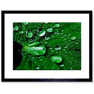 Wee Blue Coo RAINDROPS WATER LEAF PLANT GREEN BLACK FRAME FRAMED ART PRINT PICTURE B12X9171 Wee Blue Coo RAINDROPS WATER LEAF PLANT GREEN BLACK FRAME FRAMED ART PRINT PICTURE B12X9171