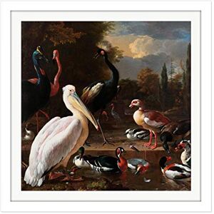 Artery8 Hondecoeter Pelican Birds Pool Floating Feather Square Wooden Framed Wall Art Print Picture 16X16 Inch Artery8 Hondecoeter Pelican Birds Pool Floating Feather Square Wooden Framed Wall Art Print Picture 16X16 Inch