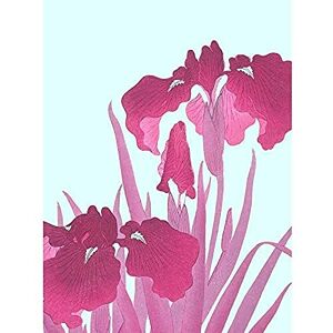 Wee Blue Coo Ohara Koson Pink Iris Flowers Unframed Wall Art Print Poster Home Decor Premium Wee Blue Coo Ohara Koson Pink Iris Flowers Unframed Wall Art Print Poster Home Decor Premium