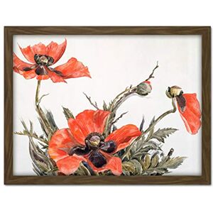 Fine Art Prints Demuth Red Poppies Watercolour Drawing Painting Large Framed Art Print Poster Wall Decor 18x24 in Fine Art Prints Demuth Red Poppies Watercolour Drawing Painting Large Framed Art Print Poster Wall Decor 18x24 in