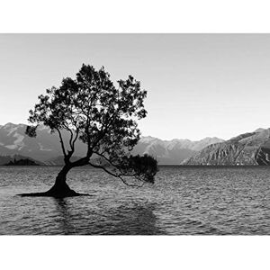 Fine Art Prints The Lone Tree Lake Wanaka Large Wall Art Print Canvas Premium Poster Fine Art Prints The Lone Tree Lake Wanaka Large Wall Art Print Canvas Premium Poster