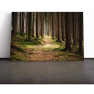Big Box Art Canvas Print Wall Art Landscape Beautiful Forest Wood (1) Mounted & Stretched Box Frame Picture Home Decor for Kitchen, Living Room, Bedroom, Hallway, Multi-Colour, 20x14 Inch Big Box Art Canvas Print Wall Art Landscape Beautiful Forest Wood (1) Mounted & Stretched Box Frame Picture Home Decor for Kitchen, Living Room, Bedroom, Hallway, Multi-Colour, 20x14 Inch