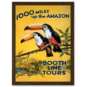 Wee Blue Coo Amazon Toucan River Brazil South America Jungle Rain Forest Vintage Travel Advert Artwork Framed Wall Art Print A4 Wee Blue Coo Amazon Toucan River Brazil South America Jungle Rain Forest Vintage Travel Advert Artwork Framed Wall Art Print A4