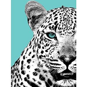 Wee Blue Coo Close up Beasties Leopard Unframed Art Print Poster Wall Decor 12x16 inch Wee Blue Coo Close up Beasties Leopard Unframed Art Print Poster Wall Decor 12x16 inch