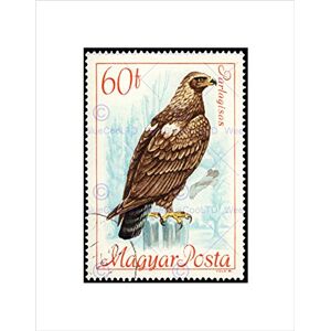 Wee Blue Coo POSTAGE STAMP HUNGARY 60 FORINT IMPERIAL EAGLE BIRD PREY FRAMED PRINT B12X11042 Wee Blue Coo POSTAGE STAMP HUNGARY 60 FORINT IMPERIAL EAGLE BIRD PREY FRAMED PRINT B12X11042