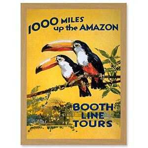 Wee Blue Coo Amazon Toucan River Brazil South America Jungle Rain Forest Vintage Travel Advert Artwork Framed Wall Art Print A4 Wee Blue Coo Amazon Toucan River Brazil South America Jungle Rain Forest Vintage Travel Advert Artwork Framed Wall Art Print A4