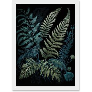 Artery8 Ernst Haeckel Style Leaf Illustration Fern Fronds Artwork Framed A3 Wall Art Print Artery8 Ernst Haeckel Style Leaf Illustration Fern Fronds Artwork Framed A3 Wall Art Print
