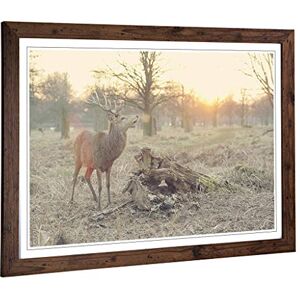 Big Box Art Framed Print of Stag Forest Landscape Design Wall Art Picture Home Decor for Kitchen, Living, Dining Room, Lounge, Bedroom, Hallway, Office, Walnut, A2 / 24.5x18 Inch / 62x45cm Big Box Art Framed Print of Stag Forest Landscape Design Wall Art Picture Home Decor for Kitchen, Living, Dining Room, Lounge, Bedroom, Hallway, Office, Walnut, A2 / 24.5x18 Inch / 62x45cm