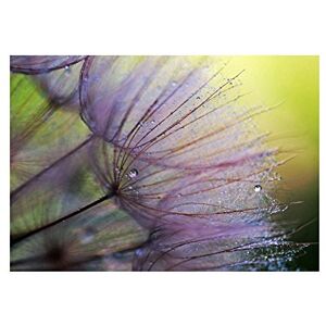 Wee Blue Coo Photo Lilac Flower Plant Seed Macro Wall Art Print Wee Blue Coo Photo Lilac Flower Plant Seed Macro Wall Art Print