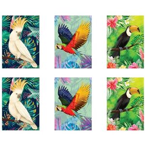 STAR CUTOUTS RD085 Tropical Bird 2 x Cockatoo 2 x Parrot 2 x Toucan Six Large Prints Room Decor Pack Cardboard Cut Out Height 44cm STAR CUTOUTS RD085 Tropical Bird 2 x Cockatoo 2 x Parrot 2 x Toucan Six Large Prints Room Decor Pack Cardboard Cut Out Height 44cm