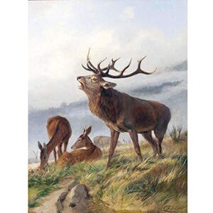 Fine Art Prints Deiker Roaring Stag Deer Hillside Painting Large Wall Art Print Canvas Premium Mural Fine Art Prints Deiker Roaring Stag Deer Hillside Painting Large Wall Art Print Canvas Premium Mural