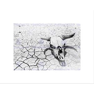 Wee Blue Coo VINTAGE STILL LIFE DESERT FLOOR COW SKULL CRACK DRY FRAMED ART PRINT B12X3538 Wee Blue Coo VINTAGE STILL LIFE DESERT FLOOR COW SKULL CRACK DRY FRAMED ART PRINT B12X3538
