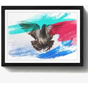 Arty Pie Framed Print Black A2 (24.5x18 Inch) Flying Pigeon Bird V2, Wood, Multi-Colour, 60 x 42 x 2 cm Arty Pie Framed Print Black A2 (24.5x18 Inch) Flying Pigeon Bird V2, Wood, Multi-Colour, 60 x 42 x 2 cm