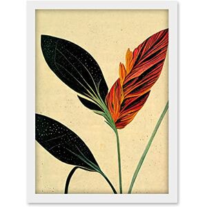 Doppelganger33 LTD Minimalist Tropical Flower Bloom Black Ochre Botanical Artwork Framed A3 Wall Art Print Doppelganger33 LTD Minimalist Tropical Flower Bloom Black Ochre Botanical Artwork Framed A3 Wall Art Print