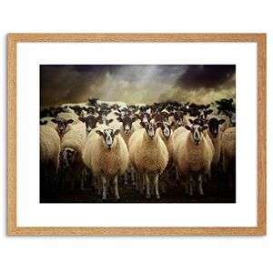 Wee Blue Coo 9x7 '' SHEEP FLOCK FARM ANIMAL FRAMED ART PRINT PICTURE MOUNT PHOTO F97X1058 Wee Blue Coo 9x7 '' SHEEP FLOCK FARM ANIMAL FRAMED ART PRINT PICTURE MOUNT PHOTO F97X1058