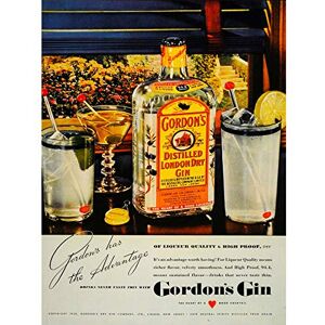 Wee Blue Coo ADVERTISING DRINK ALCOHOL GIN SPIRIT BOOZE LONDON UK FINE ART PRINT POSTER 30x40cm CC216 Wee Blue Coo ADVERTISING DRINK ALCOHOL GIN SPIRIT BOOZE LONDON UK FINE ART PRINT POSTER 30x40cm CC216