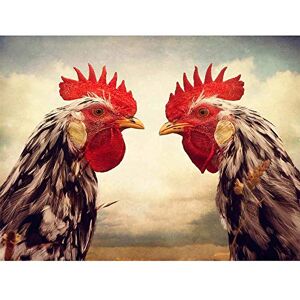 Wee Blue Coo Roosters Birds Chicken Farm Close Up Art Print Poster Wall Decor 12X16 Inch Wee Blue Coo Roosters Birds Chicken Farm Close Up Art Print Poster Wall Decor 12X16 Inch