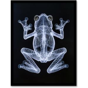 Artery8 Frog Detailed Dark Luminescent Xray Effect Bathroom Toilet Artwork Framed Wall Art Print A4 Artery8 Frog Detailed Dark Luminescent Xray Effect Bathroom Toilet Artwork Framed Wall Art Print A4