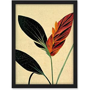 Doppelganger33 LTD Minimalist Tropical Flower Bloom Black Ochre Botanical Artwork Framed A3 Wall Art Print Doppelganger33 LTD Minimalist Tropical Flower Bloom Black Ochre Botanical Artwork Framed A3 Wall Art Print