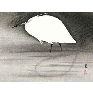 Wee Blue Coo Egret Ohara Koson Art Print Poster Wall Decor 12X16 Inch Wee Blue Coo Egret Ohara Koson Art Print Poster Wall Decor 12X16 Inch